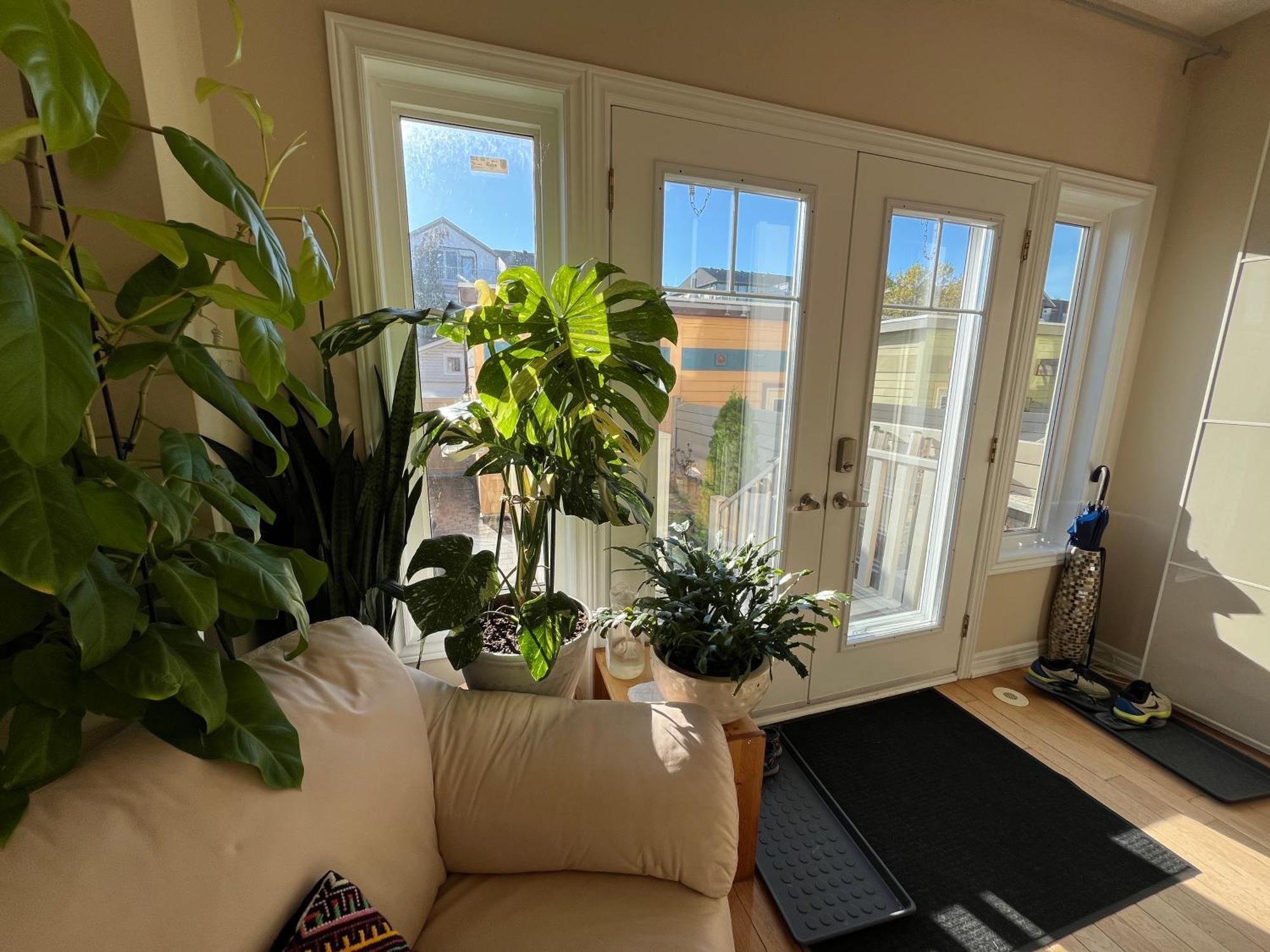 Stunning Rooms In Townhouse Across The Beach Toronto Esterno foto